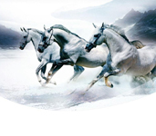 省内排行前十，，设计、施工实力排前